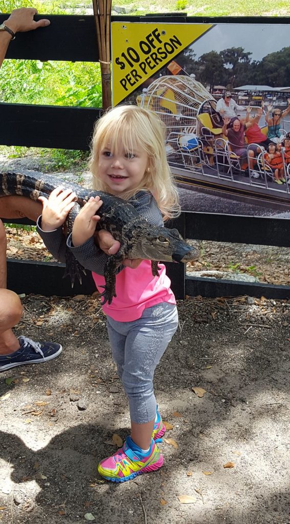 airboat rides tours florida tj 8