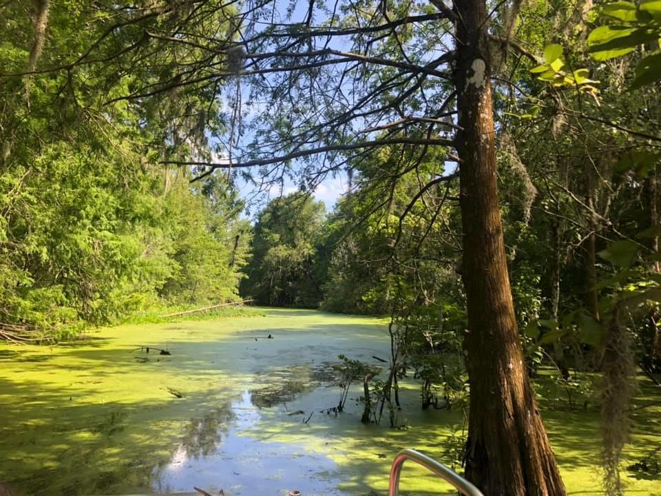 airboat rides central florida 6