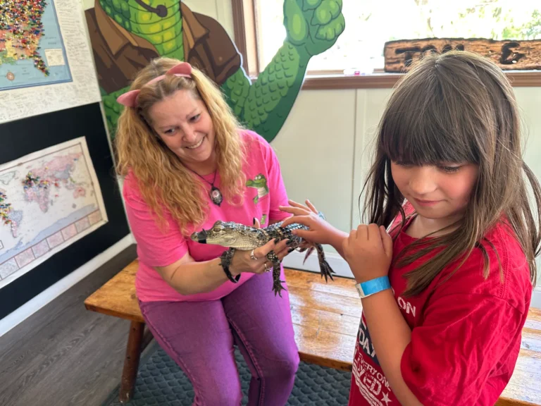 gator touching baby
